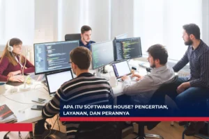 Apa itu Software House? Pengertian, Layanan, dan Perannya
