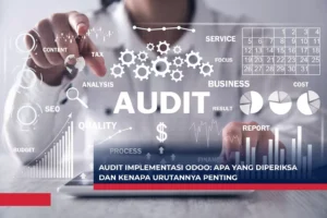 Audit Implementasi Odoo - Apa yang Diperiksa dan Kenapa Urutannya Penting